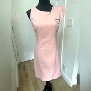 The knee-length blush pink dress